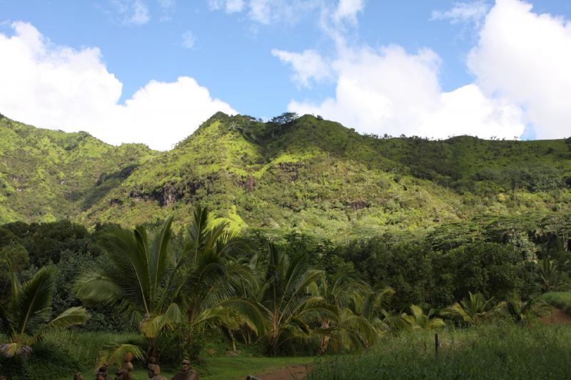 2011-11-25 10:01:01 ** Hawaiʻi, Kauaʻi ** 