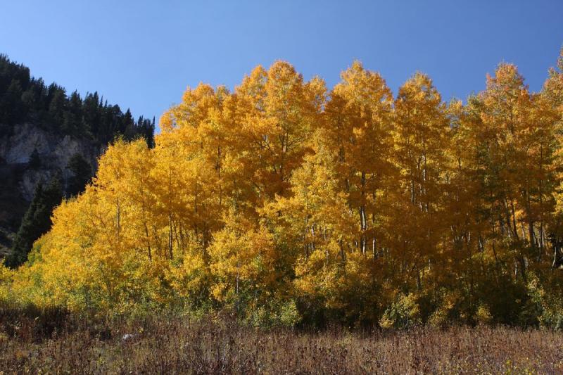 2010-10-01 14:34:22 ** Big Cottonwood Canyon, Utah ** 