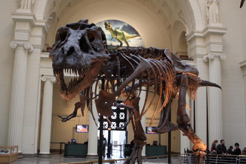 2014-03-13 12:12:49 ** Chicago, Field Museum, Illinois ** 