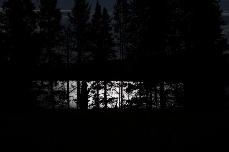 2008-08-14 22:30:26 ** Yellowstone National Park ** Moonlight on the lake behind the trees.