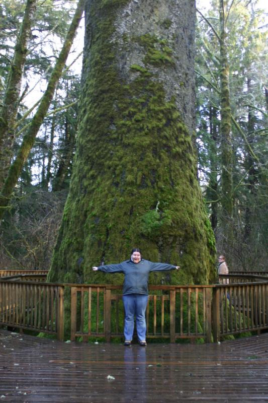 2006-01-28 17:20:06 ** Erica, Oregon ** Etwa 17 Meter Stammumfang.