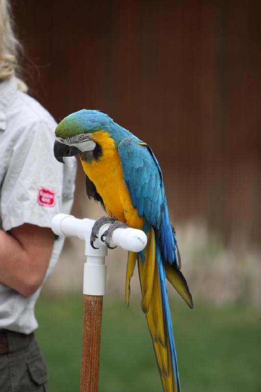 2011-05-07 11:14:44 ** Utah, Zoo ** 