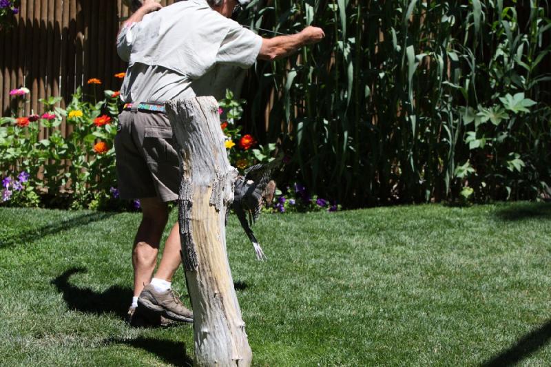 2011-07-15 12:58:46 ** Utah, Zoo ** 