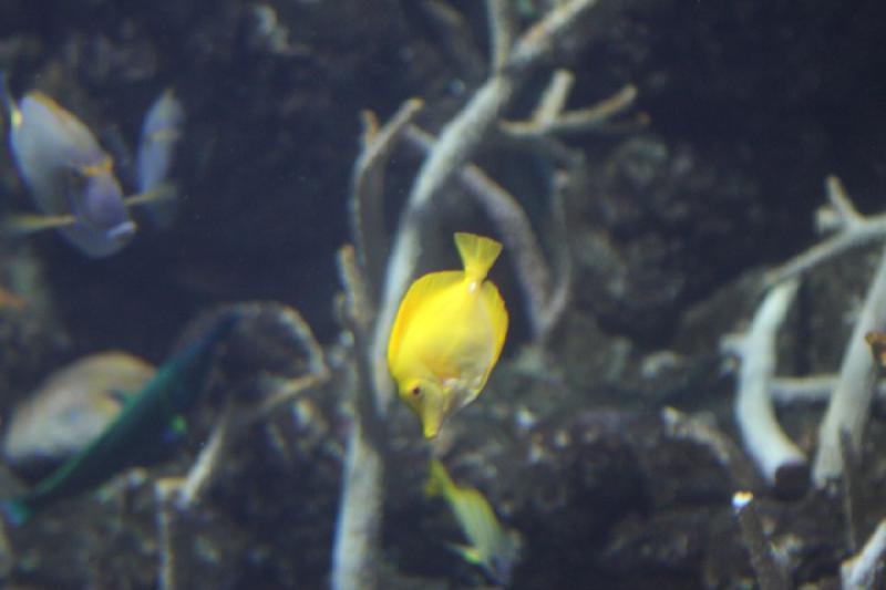 2012-06-16 10:50:00 ** Aquarium, Seattle ** 