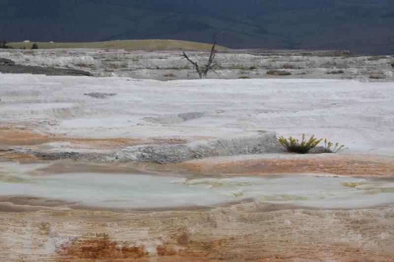 2009-08-04 11:26:09 ** Yellowstone Nationalpark ** 