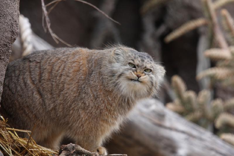 2012-03-25 14:18:06 ** Utah, Zoo ** 