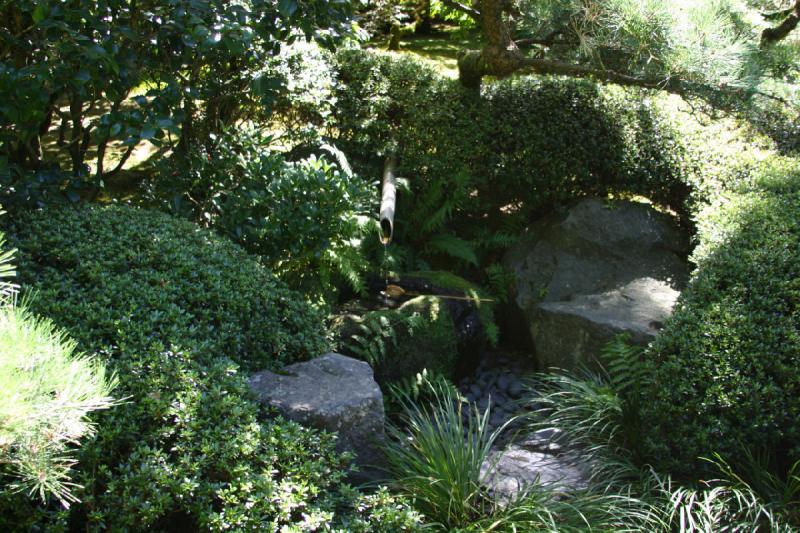 2007-09-02 13:17:24 ** Portland ** Elements of a japanese garden are green foliage, water and rocks. Flowers are rare.