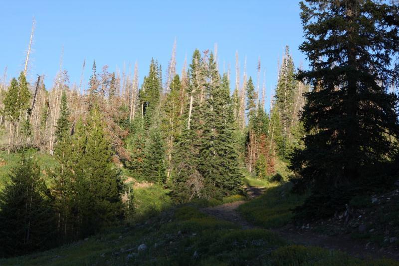 2010-08-21 19:27:16 ** Uinta Mountains ** 