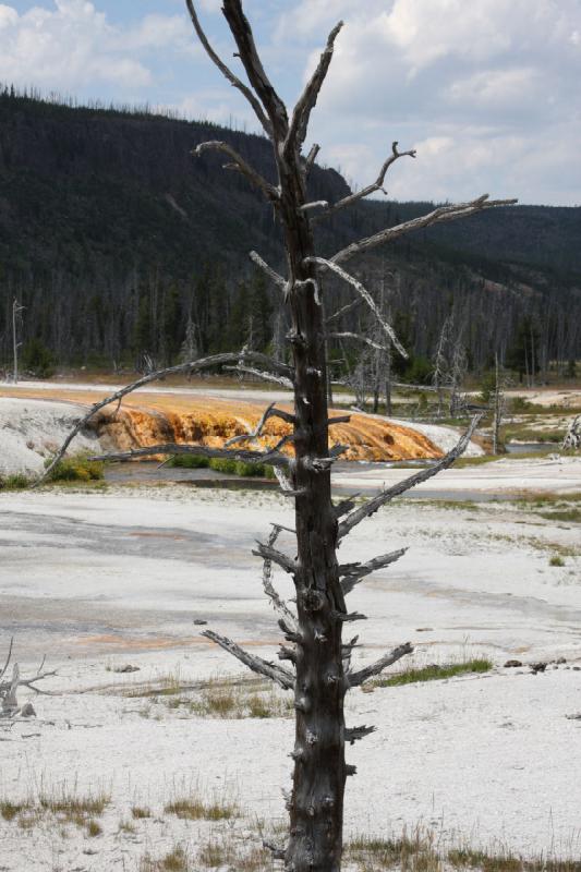 2009-08-03 14:02:52 ** Yellowstone Nationalpark ** 