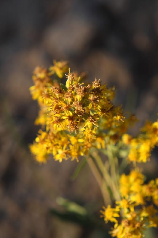 2010-08-20 19:25:21 ** Uinta Mountains ** 