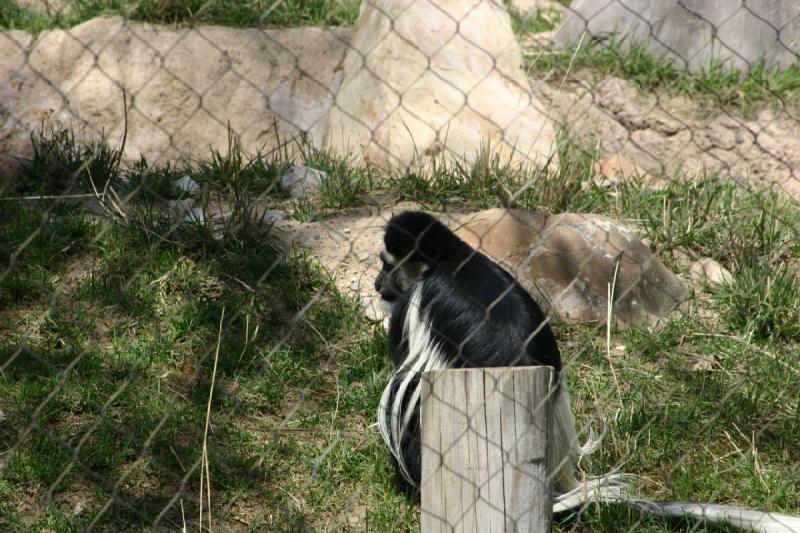 2008-05-04 12:10:44 ** Utah, Zoo ** 