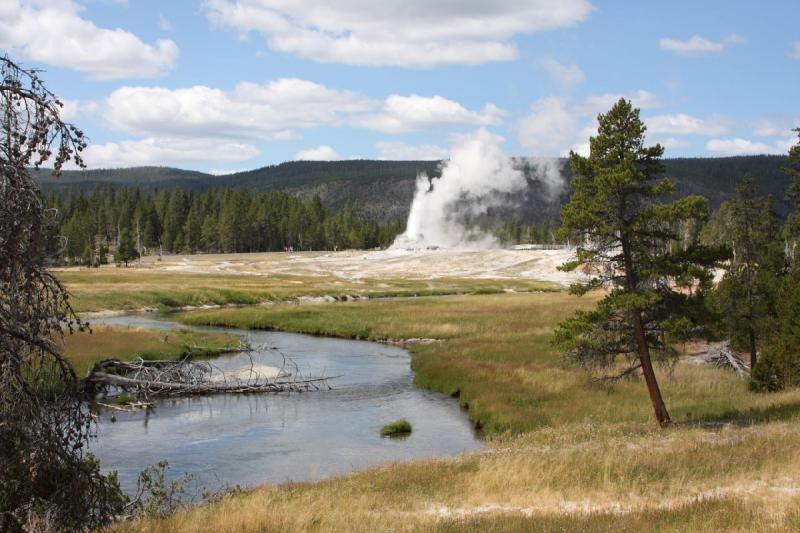 2008-08-15 12:10:33 ** Yellowstone Nationalpark ** Burg-Geysir.