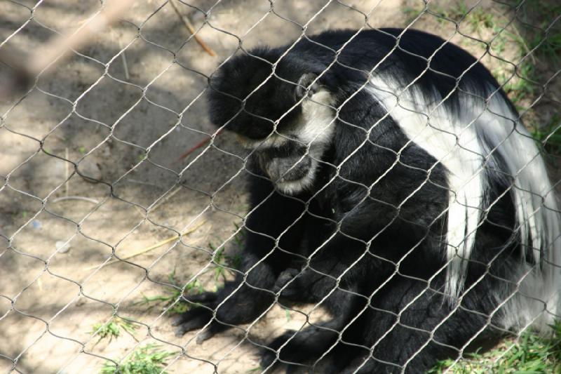 2008-05-04 12:11:10 ** Utah, Zoo ** 