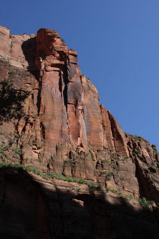 2011-05-29 09:25:01 ** Utah, Zion National Park ** 