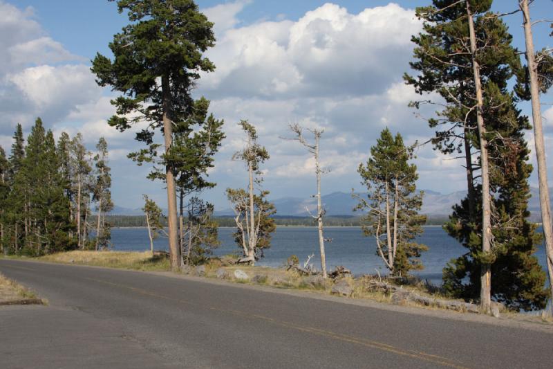 2008-08-14 17:06:28 ** Yellowstone Nationalpark ** Bäume und Straße in der Nähe des Geschäfts am Ufer von Yellowstone Lake.