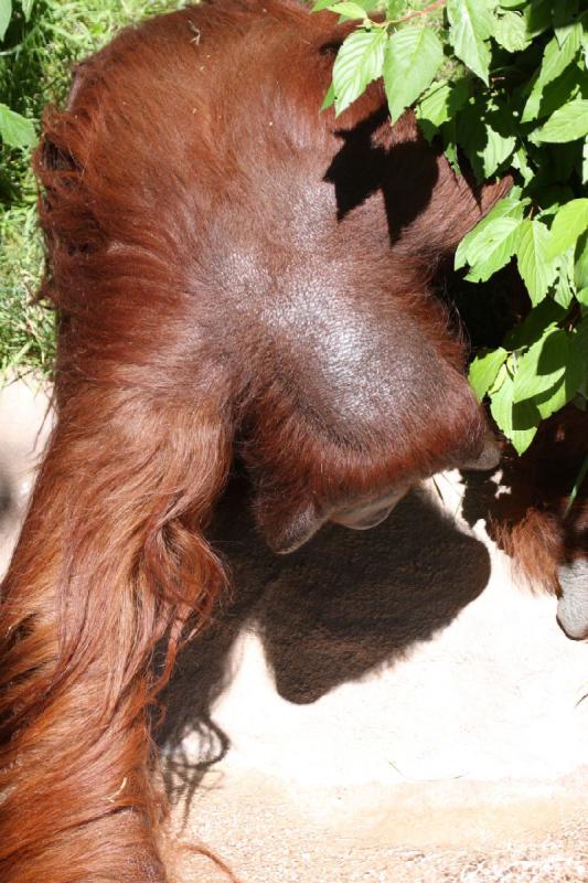 2011-07-15 14:10:21 ** Utah, Zoo ** 