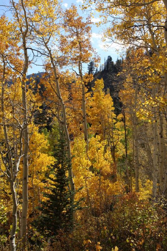 2010-10-01 14:09:41 ** Big Cottonwood Canyon, Utah ** 