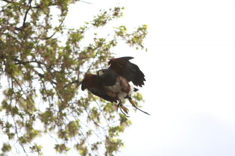 2011-05-07 11:04:07 ** Utah, Zoo ** 