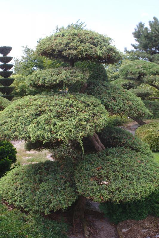 2019-07-26 12:53:02 ** Bad Zwischenahn, Botanical Garden, Germany ** 