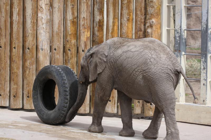 2012-03-25 13:55:38 ** Utah, Zoo ** 