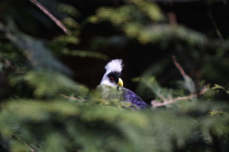 2010-04-13 14:02:16 ** Deutschland, Walsrode, Zoo ** 