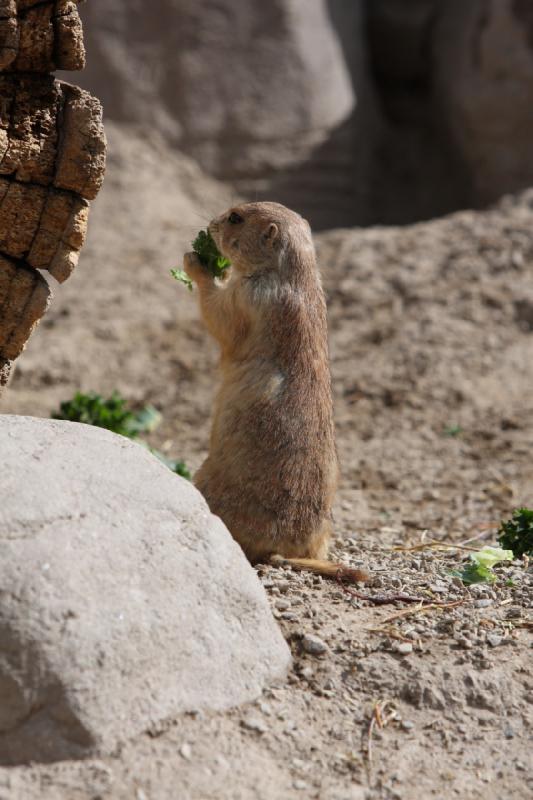 2011-05-07 10:18:17 ** Utah, Zoo ** 