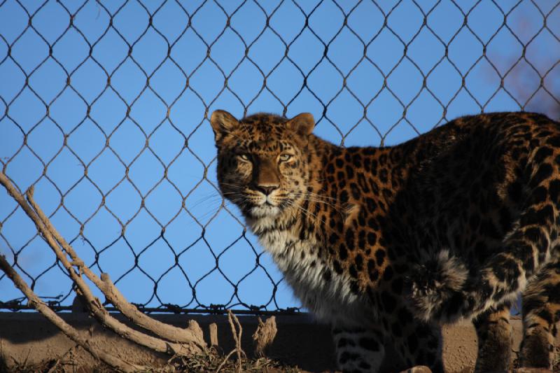 2011-01-23 16:32:12 ** Utah, Zoo ** 