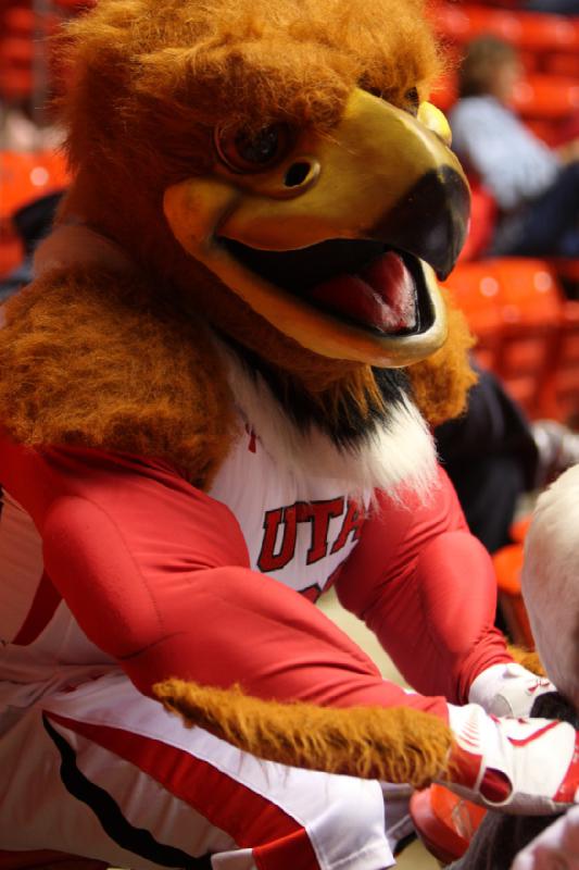 2012-11-27 19:17:52 ** Basketball, Damenbasketball, Swoop, Utah State, Utah Utes ** 