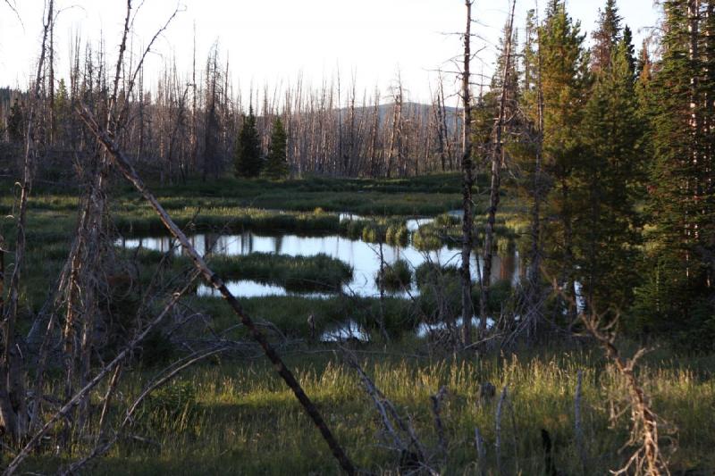 2010-08-21 19:34:18 ** Uinta Mountains ** 