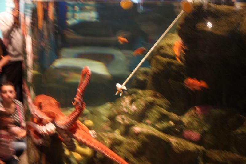 2012-06-16 12:08:06 ** Aquarium, Seattle ** 