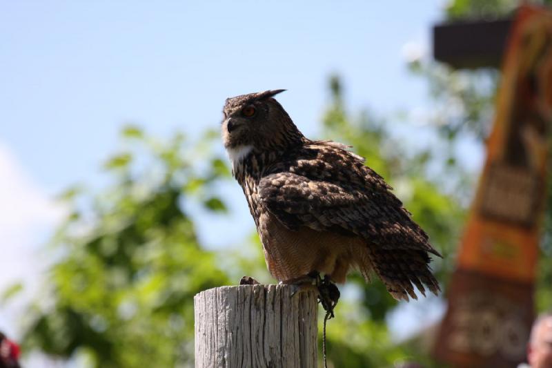 2011-07-15 15:16:02 ** Utah, Zoo ** 