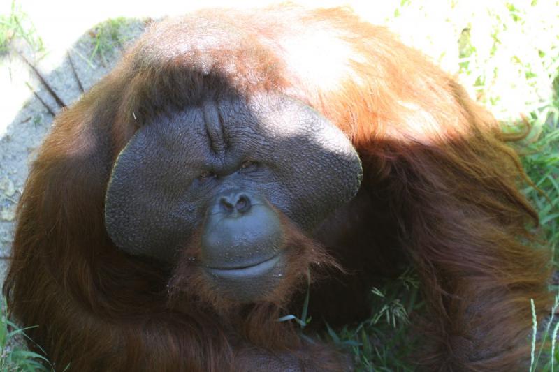 2011-07-15 14:10:44 ** Utah, Zoo ** 