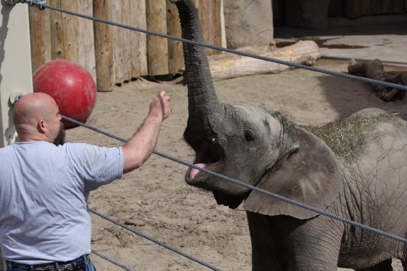 2011-05-07 10:33:04 ** Utah, Zoo ** 