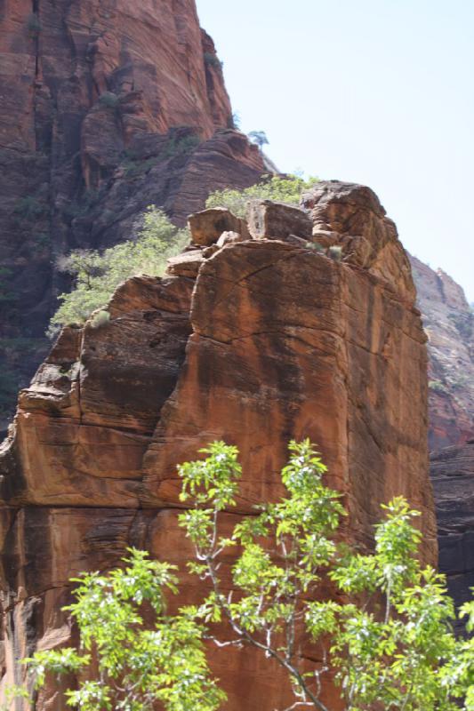 2011-05-29 10:32:42 ** Utah, Zion National Park ** 