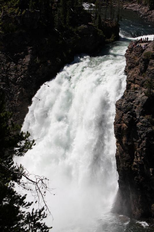 2008-08-16 12:41:58 ** Yellowstone National Park ** 