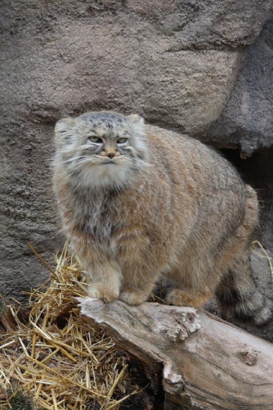 2012-03-25 14:09:15 ** Utah, Zoo ** 