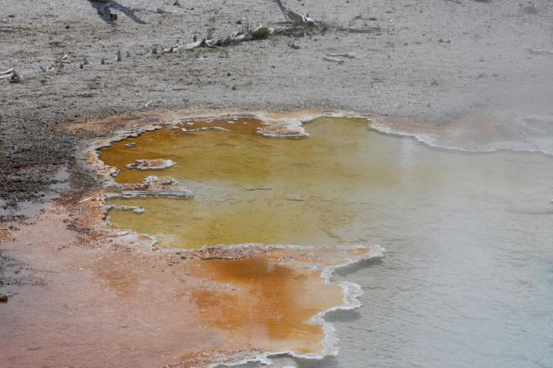 2009-08-03 10:34:22 ** Yellowstone Nationalpark ** Bakterien färben das Wasser sprichwörtlich, deswegen nennt sich diese Ansammlung von Geysiren 'Fountain Paint Pot'.