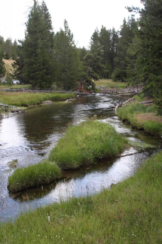 2008-08-15 11:51:11 ** Yellowstone National Park ** A small river behind Old Faithful.