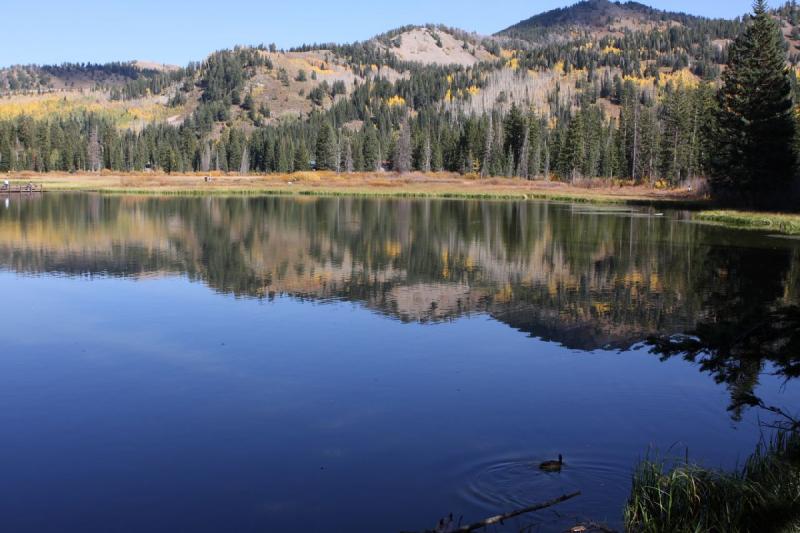 2010-10-01 14:56:27 ** Big Cottonwood Canyon, Utah ** 