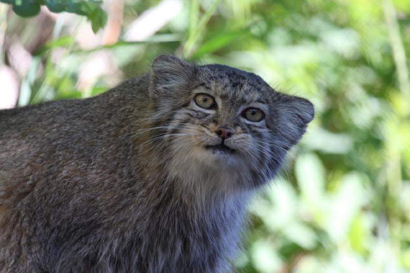 2011-07-16 08:13:14 ** Utah, Zoo ** 