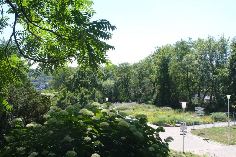 2019-07-23 12:05:26 ** Botanischer Garten, Deutschland, Erfurt ** 