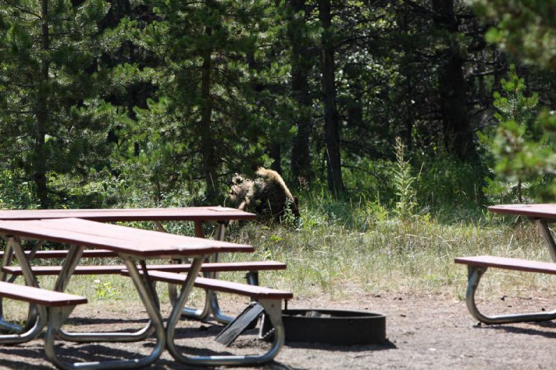 2008-08-18 13:02:26 ** Glacier Nationalpark ** 