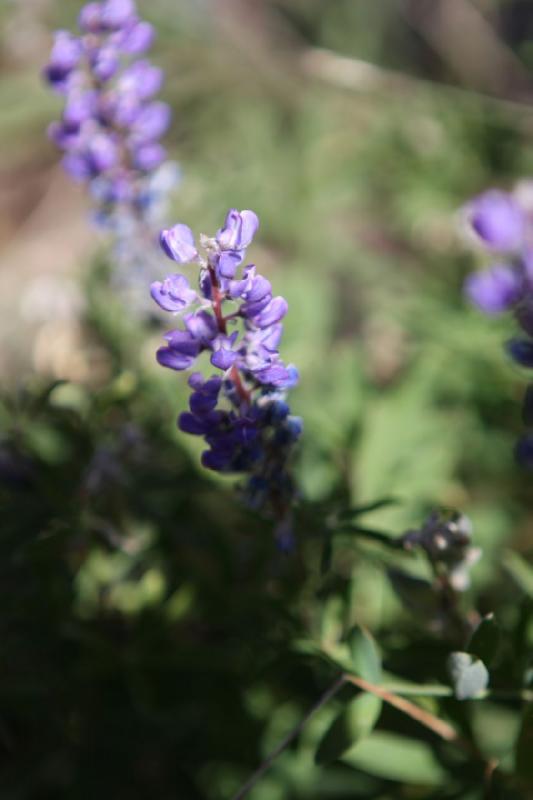 2010-08-21 15:31:03 ** Uinta Mountains ** 