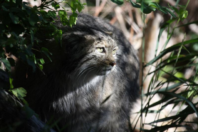 2011-07-16 08:15:17 ** Utah, Zoo ** 