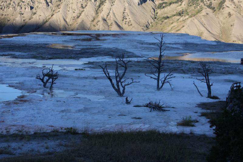 2008-08-16 19:35:02 ** Yellowstone National Park ** 