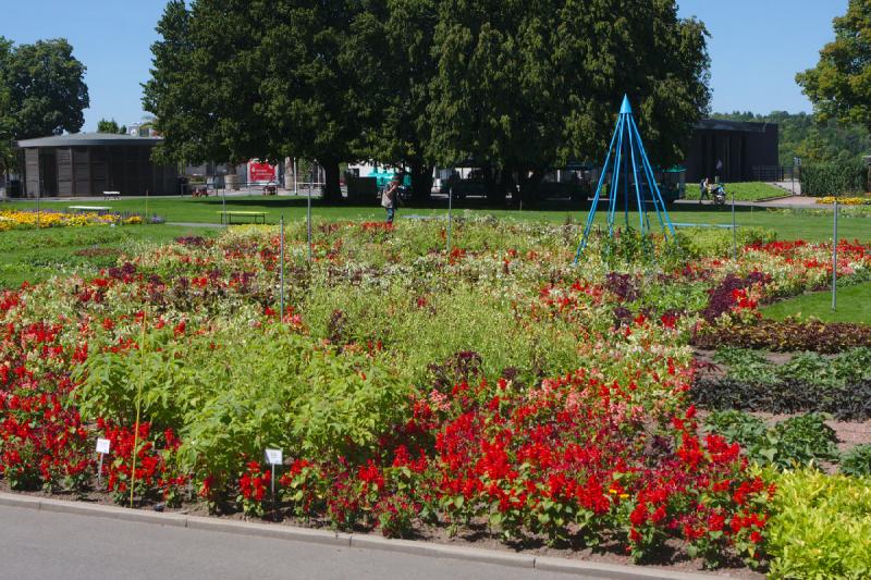 2019-07-23 13:23:26 ** Botanical Garden, Erfurt, Germany ** 