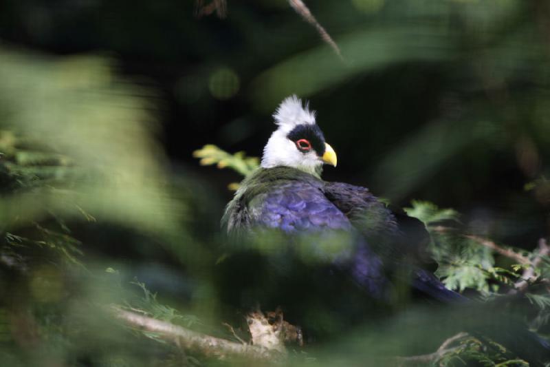 2010-04-13 14:02:37 ** Deutschland, Walsrode, Zoo ** 