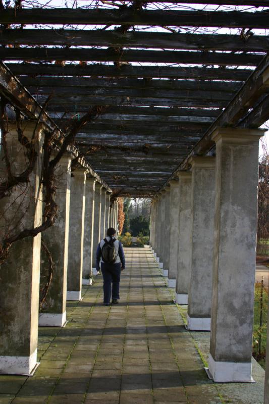 2006-11-28 10:19:40 ** Deutschland, Erica, Potsdam ** Dieser Gang am Schloß Charlottenhof ist im Sommer mit Pflanzen berankt.