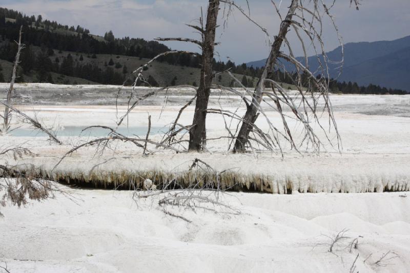 2009-08-04 11:29:21 ** Yellowstone Nationalpark ** 