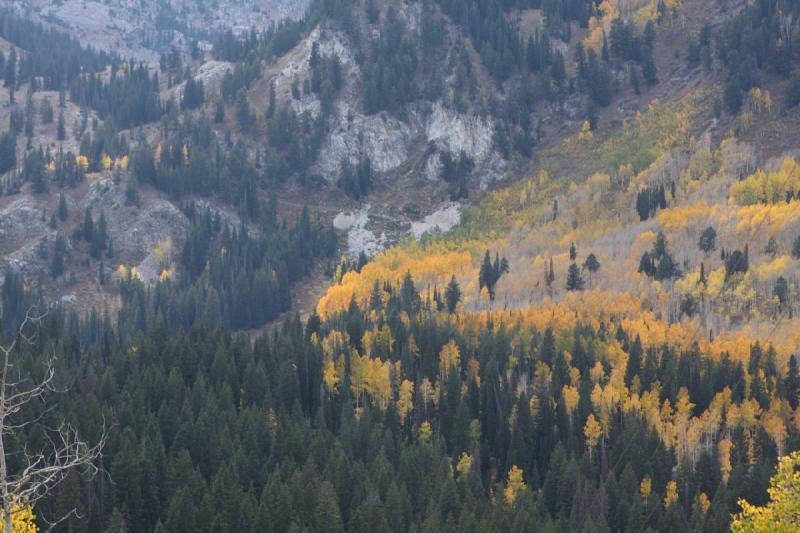 2010-10-02 14:46:17 ** Big Cottonwood Canyon, Utah ** 